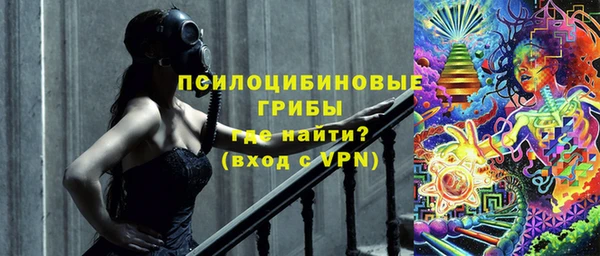 винт Медвежьегорск