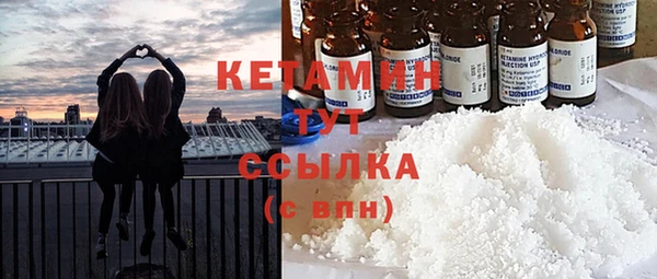 прущие грибы Лабытнанги