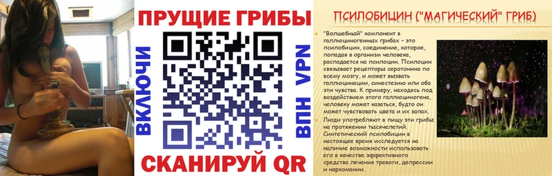 купить  сайты  Мелеуз  Галлюциногенные грибы Cubensis 